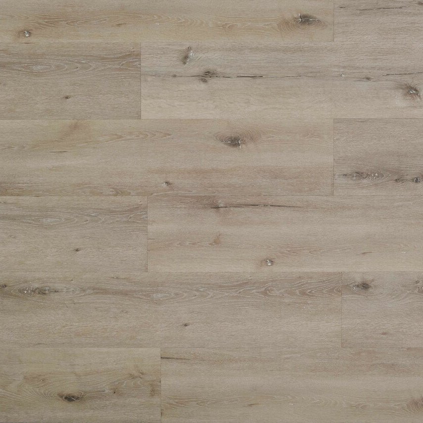 Saltworks_oak.jpg Saltworks_oak.jpg